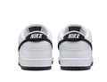 Nike SB Dunk Skate Shoes